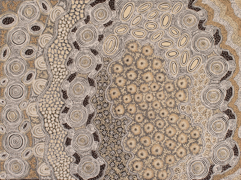 Budgerigar Dreaming - GTUAR2515 by Gwenda Turner Nungurrayi