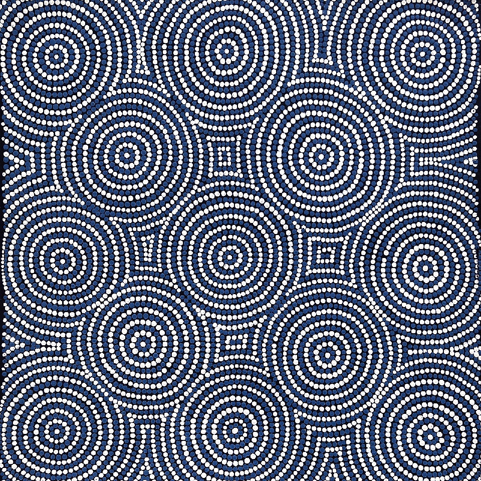 Ngapa Jukurrpa (Water Dreaming) - Mikanji - JNGWU699/22ny by Janita Nampijinpa Gallagher
