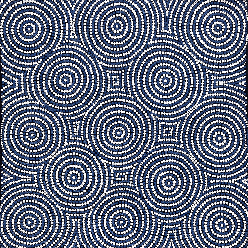 Ngapa Jukurrpa (Water Dreaming) - Mikanji - JNGWU699/22ny by Janita Nampijinpa Gallagher