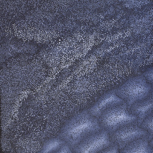 Night Fishing on the Coast - JLOG0046