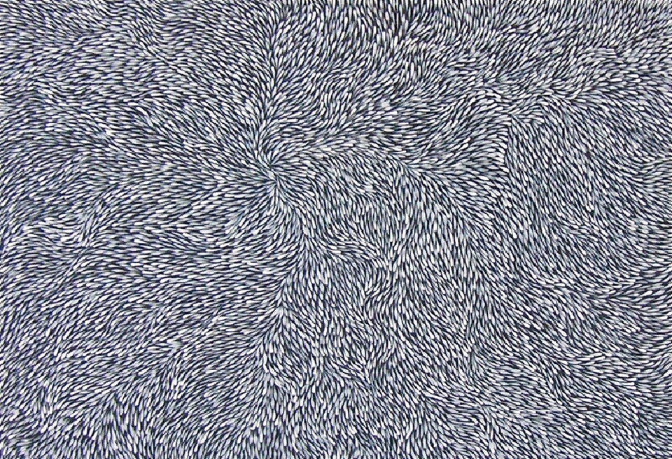 Bush Medicine Leaves - JPET102 by Jeannie Petyarre