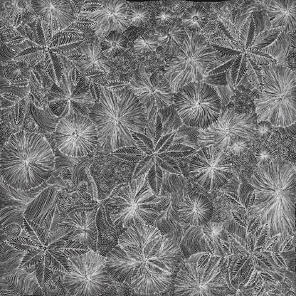 Ntyenyengkwarl Dreaming - Red-Bud Mallee Honey - JEPG0003 by Jessie Petyarre Hunter