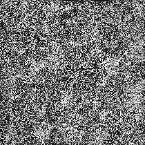 Ntyenyengkwarl Dreaming - Red-Bud Mallee Honey - JEPG0003