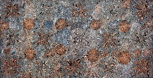 Ntyenyengkwarl Dreaming - Red-Bud Mallee Honey - JEPG0005