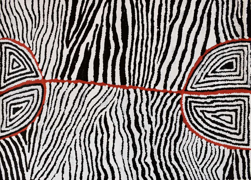 Hairstring / Mina Mina Dreaming - JUDGC1008 by Judy Napangardi Watson