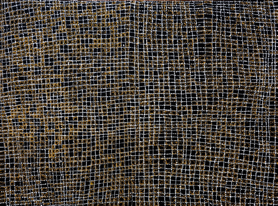 Mina Mina Jukurrpa (Mina Mina Dreaming) - Ngalyipi - JNAWU2106/17 by Julie Nangala Robertson