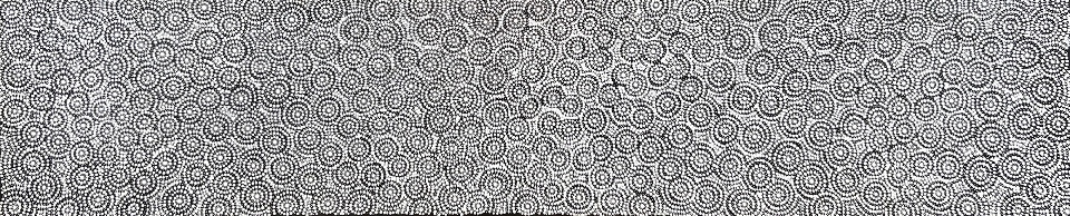 Yarla Jukurrpa (Bush Potato Dreaming) - JUNWU4915/22 by Justine Nakamarra Nelson