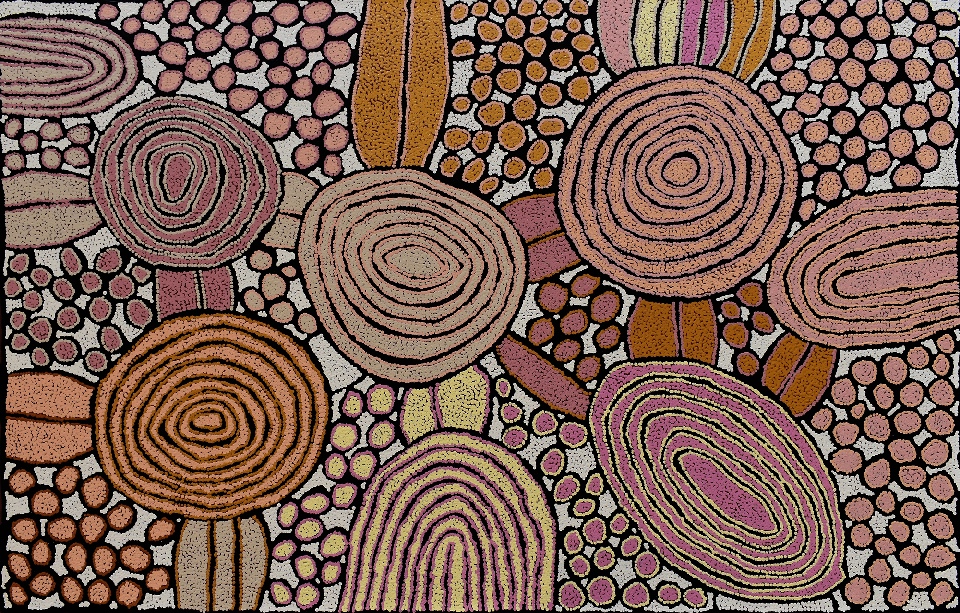Tjintjintjin - My Mother's Country - KTMAR202454 by Katherine Nakamarra Marshall