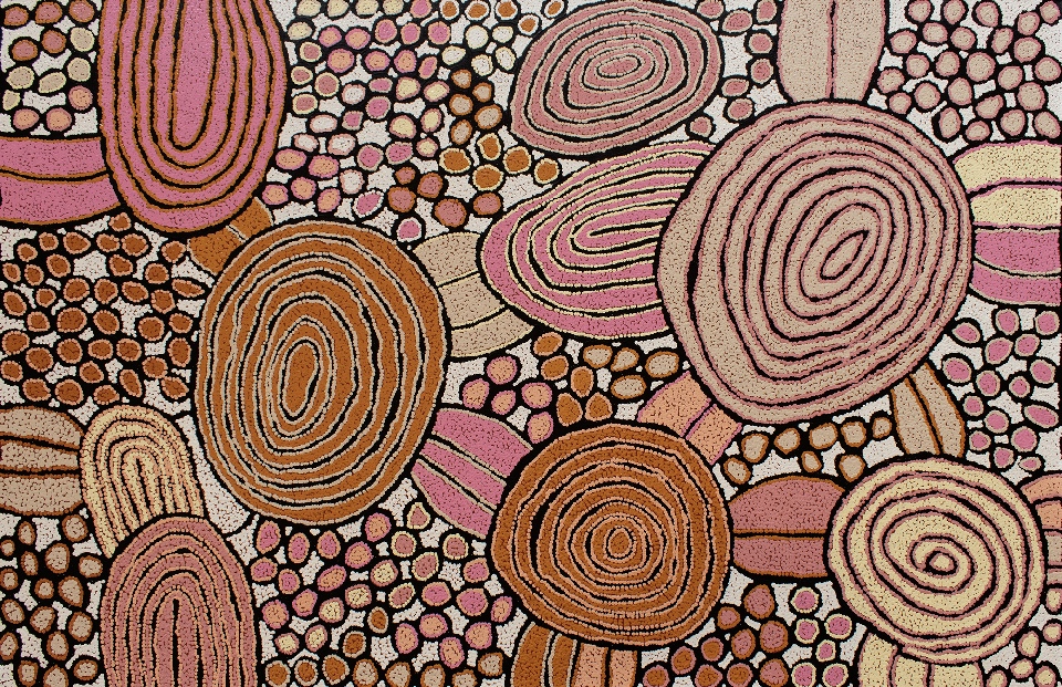 Tjintjintjin - My Mother's Country - KTMAR202457 by Katherine Nakamarra Marshall