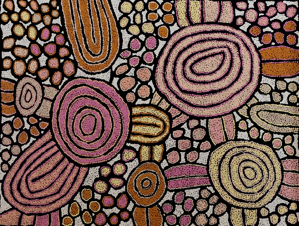Tjintjintjin - My Mother's Country - KTMAR202501 by Katherine Nakamarra Marshall