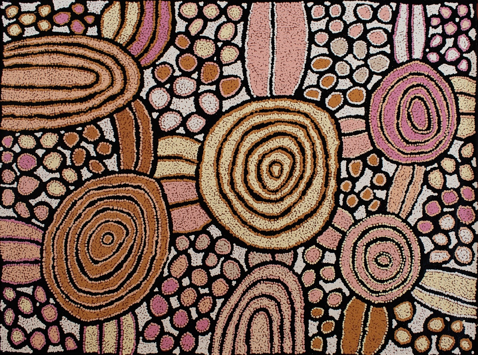 Tjintjintjin - My Mother's Country - KTMAR202502 by Katherine Nakamarra Marshall