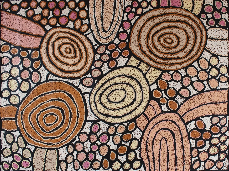 Tjintjintjin - My Mother's Country - KTMAR202509 by Katherine Nakamarra Marshall