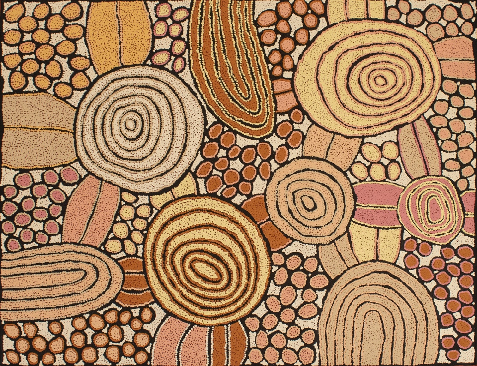 Tjin Tjin Tjin (My Mother's Country) - KTMAR2446 by Katherine Nakamarra Marshall
