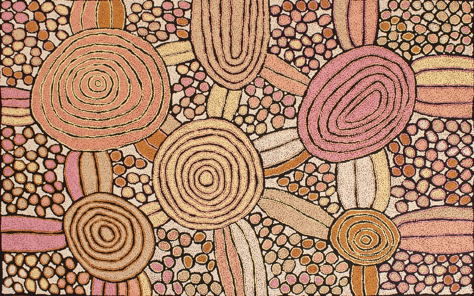 Tjin Tjin Tjin (My Mother's Country) - KTMAR2514 by Katherine Nakamarra Marshall