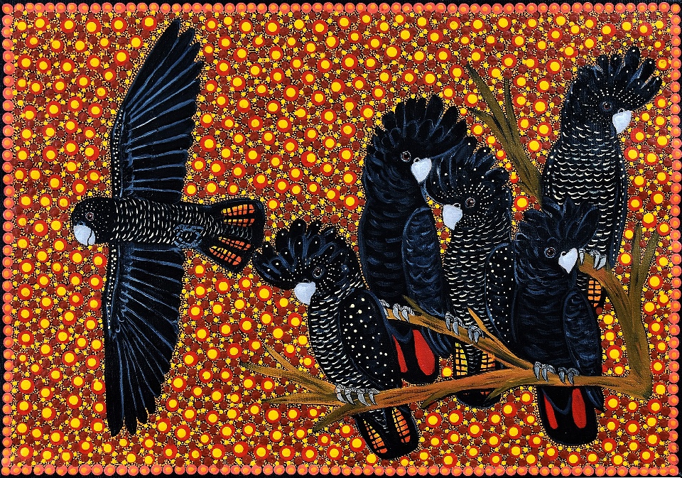 Male and Female Red Tail Black Cockatoos - KBZG0548 by Kathleen Buzzacott