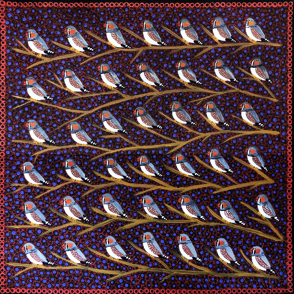 Zebra Finches - KBZG0594 by Kathleen Buzzacott