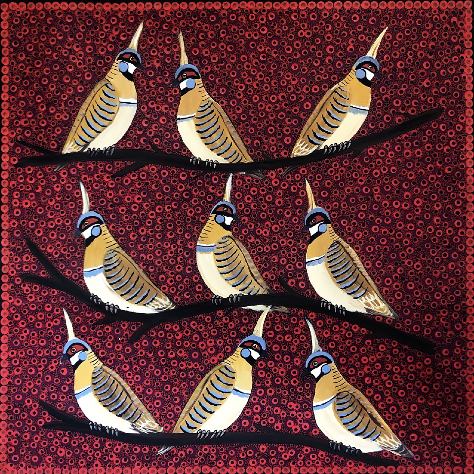 Spinifex Pigeons - KBZG0596 by Kathleen Buzzacott
