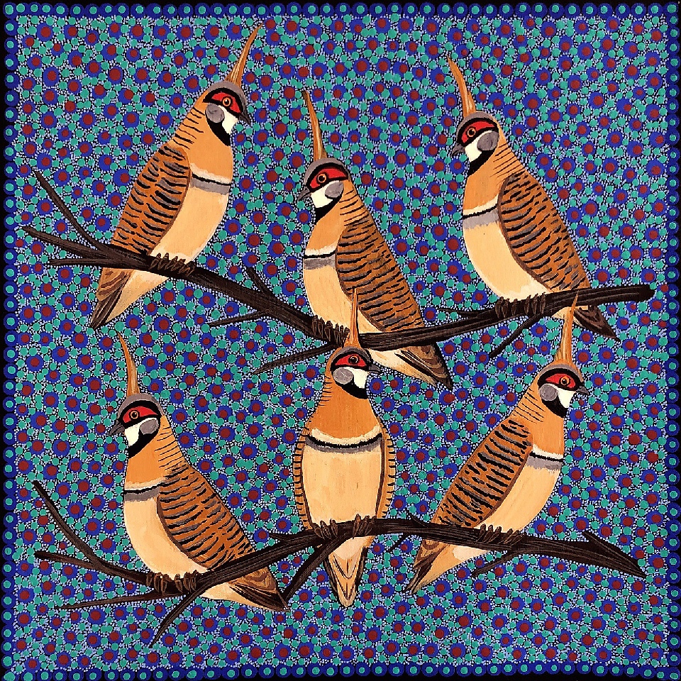 Spinifex Pigeons - KBZG0612 by Kathleen Buzzacott