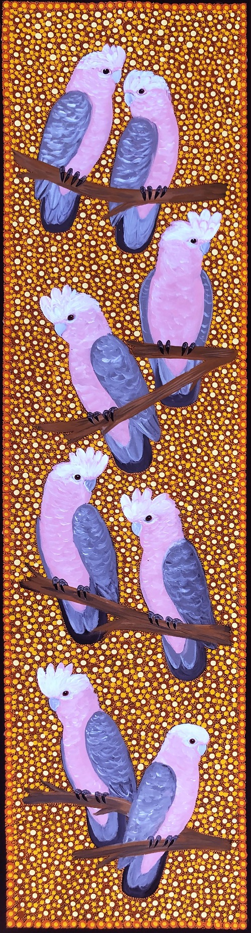 Galahs - KBZG0635