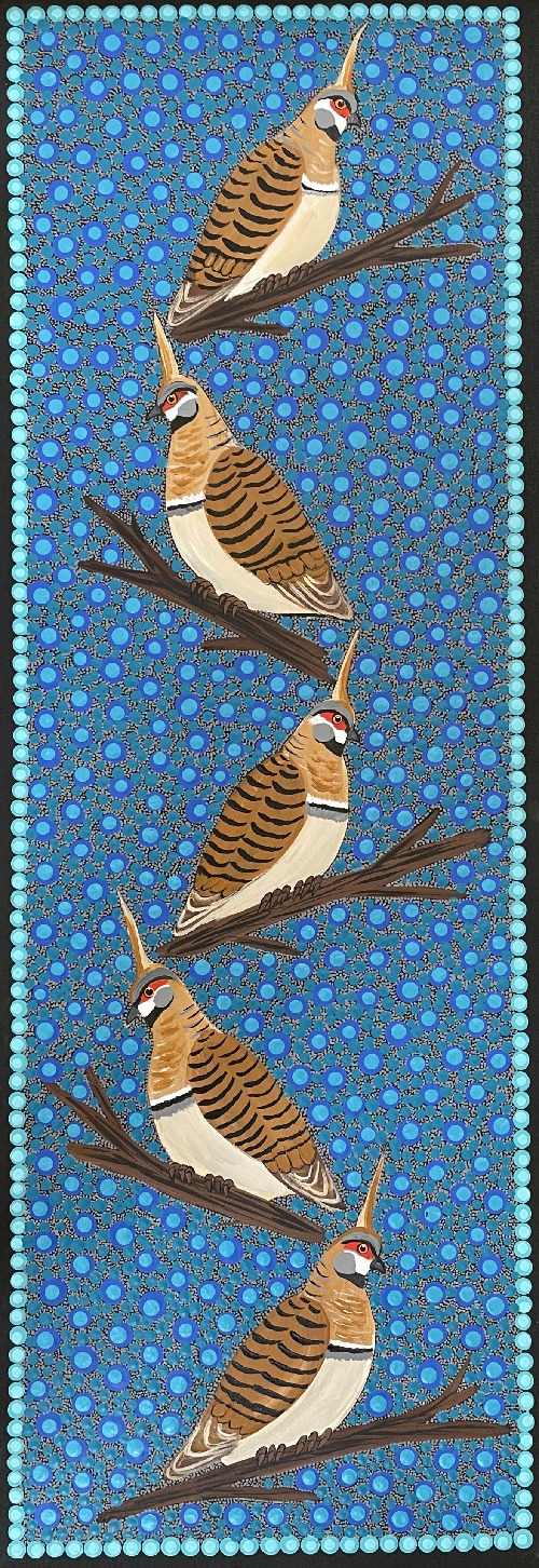 Spinifex Pigeons - KBZG0672