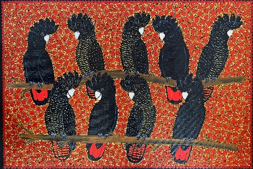 Red Tail Black Cockatoos - KBZG0676