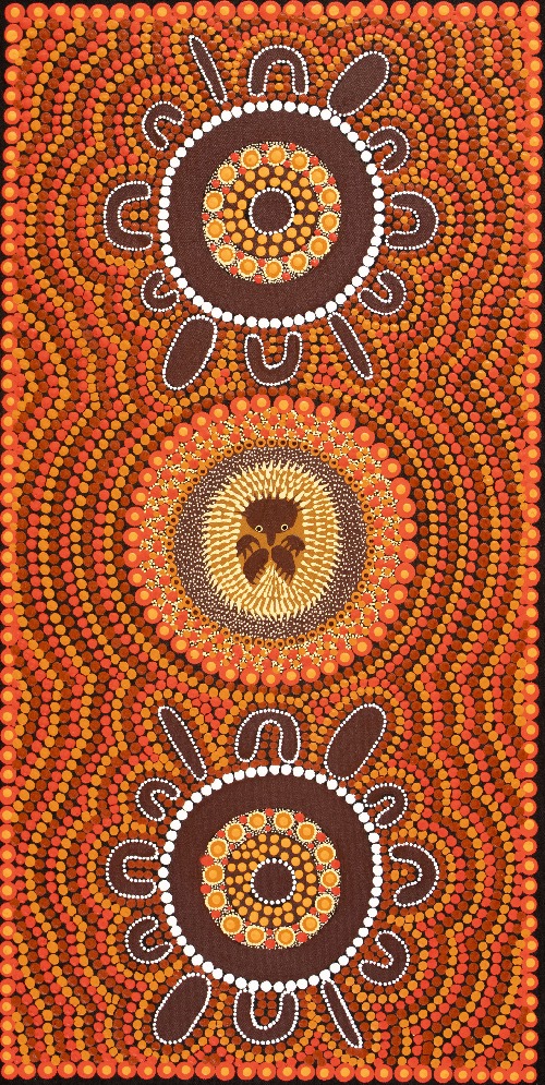 Families Hunting Echidna - KBZG0677