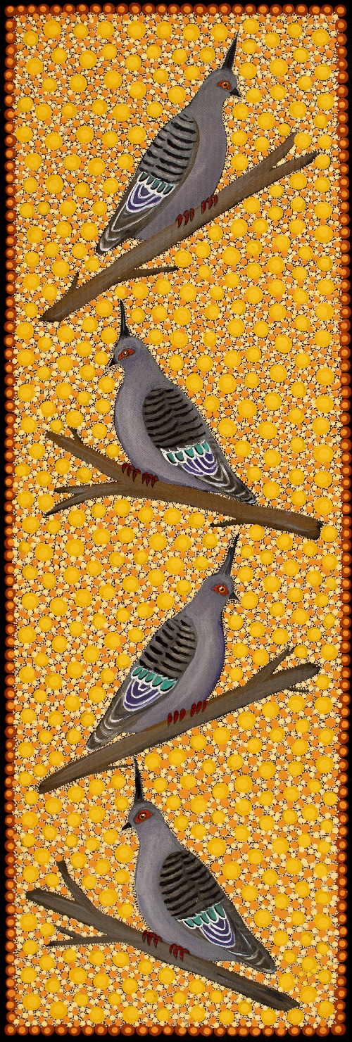 Top Knot Pigeons - KBZG0682