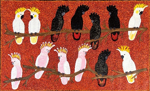 Cockatoos - KBZG0686