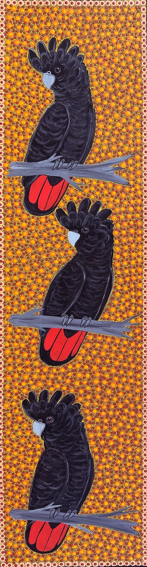 Red Tail Black Cockatoos - KBZG0691