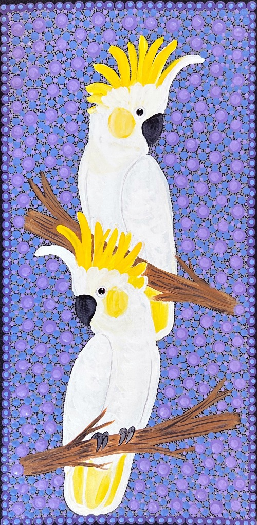 Sulphur Crested Cockatoos - KBZG0710