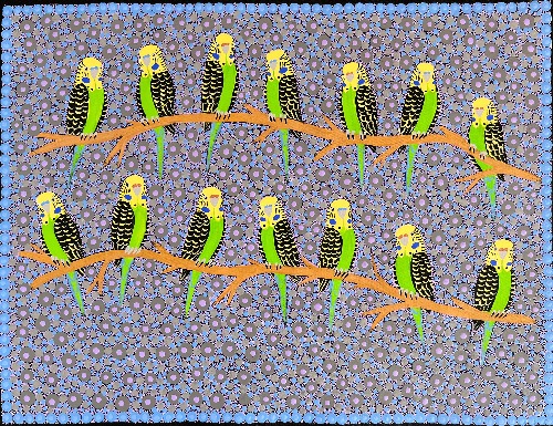 Budgerigars - KBZG0725