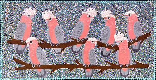 Galahs - KBZG0742