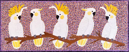 Sulphur Crested Cockatoos - KBZG0768