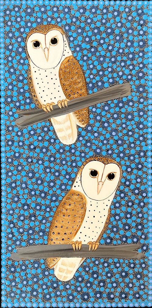 Barn Owls - KBZG0815