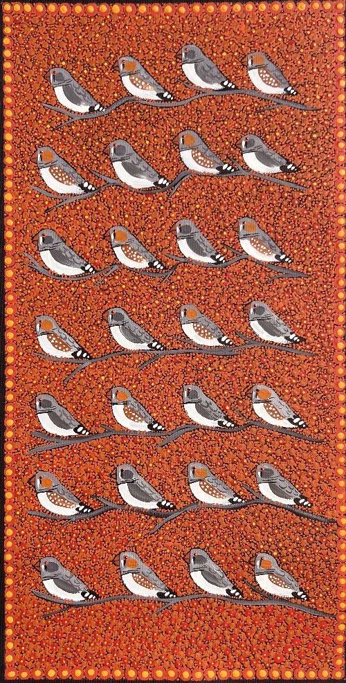 Zebra Finches - KBZG0835