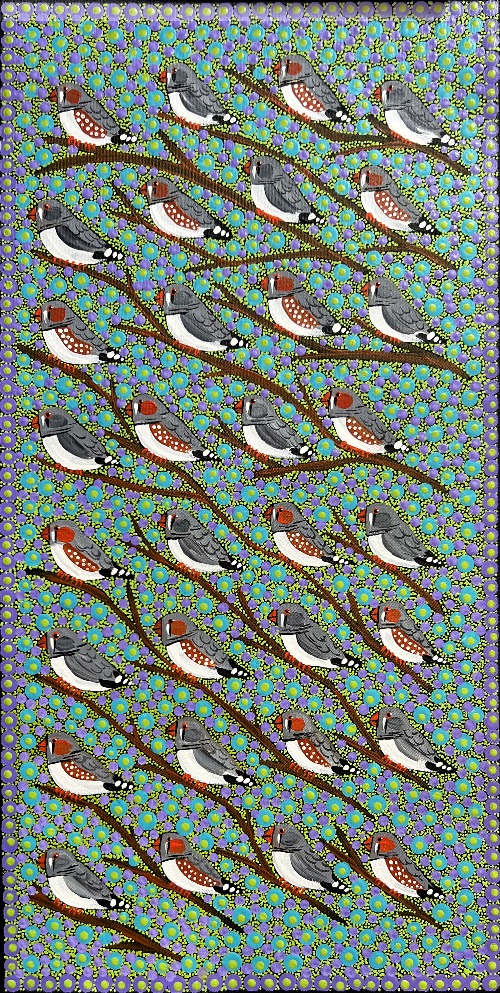 Zebra Finches - KBZG0836