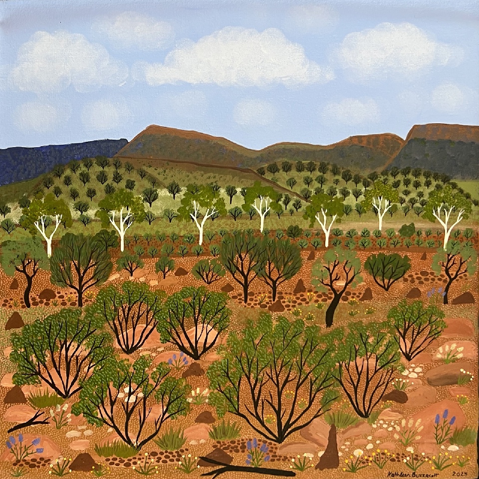 West MacDonnell Ranges - KBZG0850 by Kathleen Buzzacott