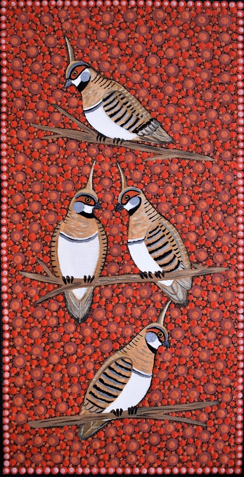 Spinifex Pigeons - KBZG0899