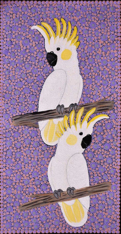 Sulphur Crested Cockatoos - KBZG0900