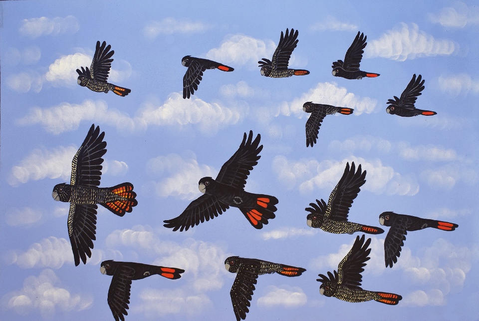 Red Tail Black Cockatoos - KBZG0937 by Kathleen Buzzacott
