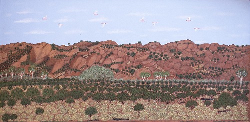 APY Lands - KBZG0999