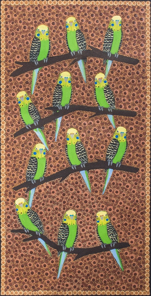 Budgerigars - KBZG1030