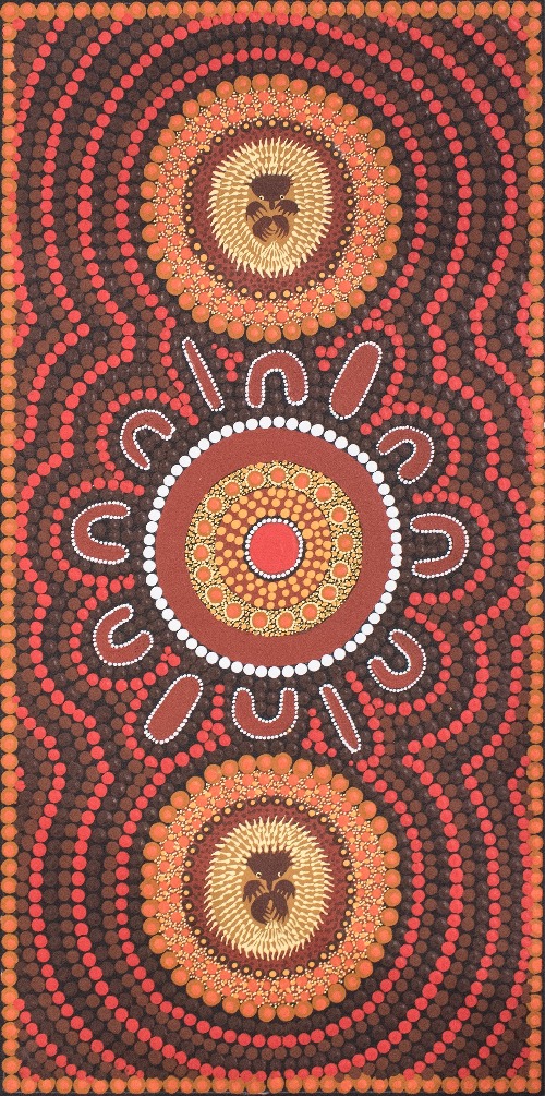 Families Hunting Echidna - KBZG1044