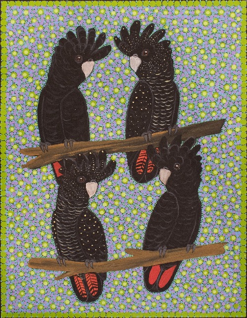 Red Tail Black Cockatoos - KBZG1050