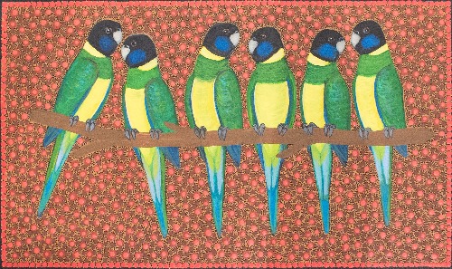 Ring Neck Parrots - KBZG1051