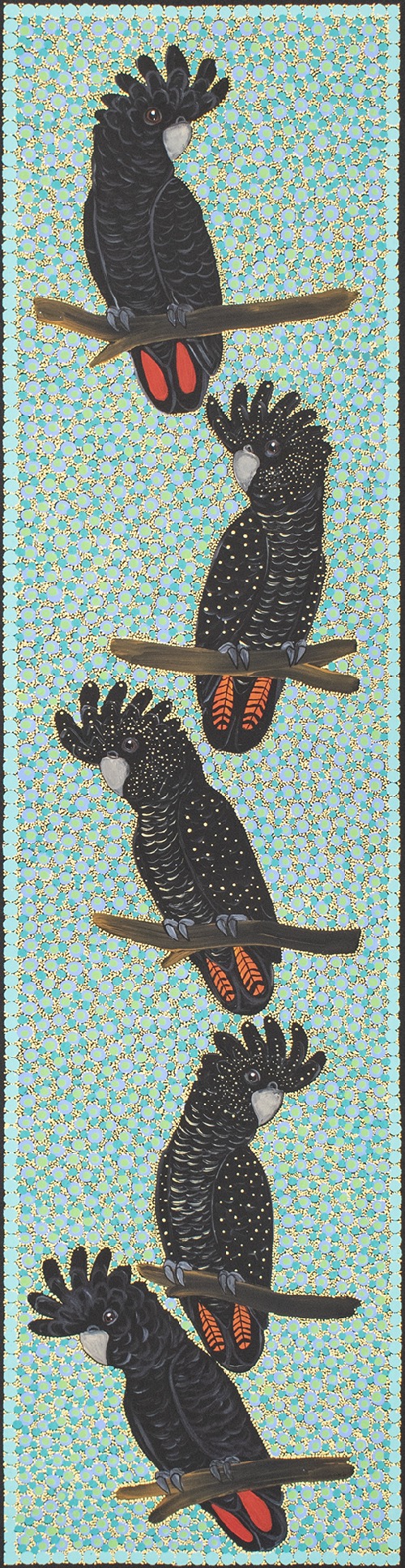 Red Tail Black Cockatoos - KBZG1049