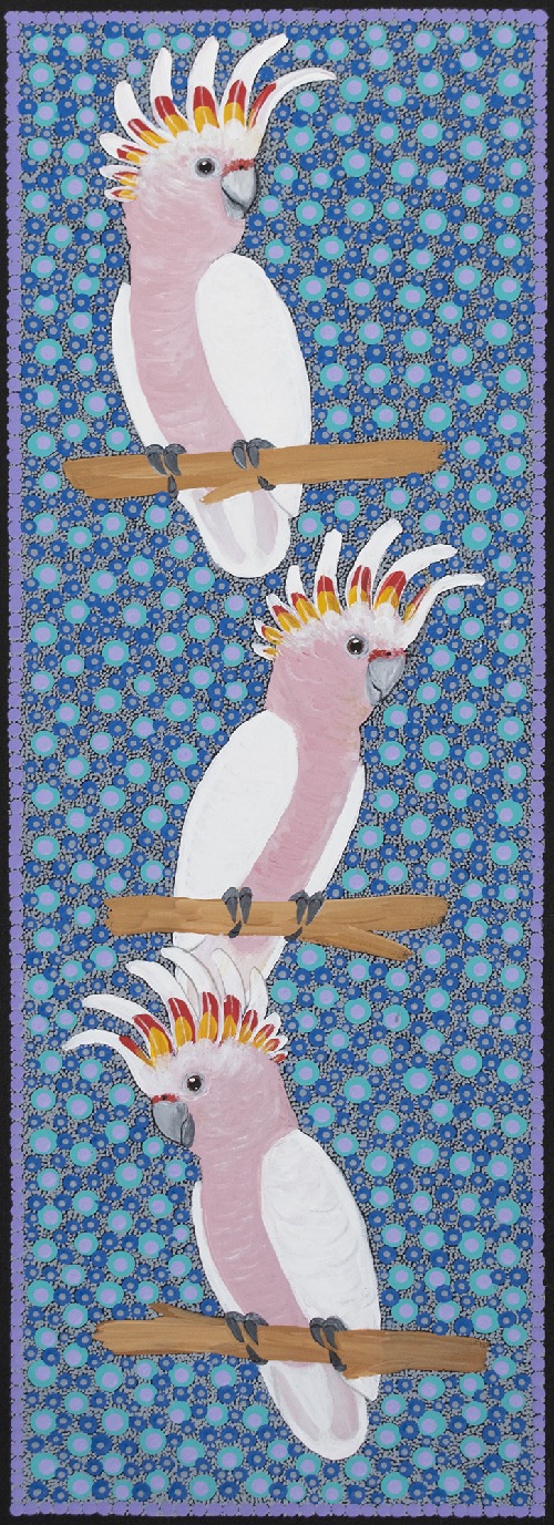 Major Mitchell Cockatoos - KBZG1060