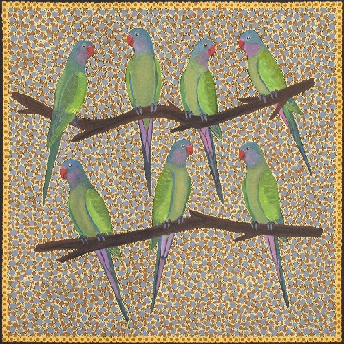 Princess Parrots - KBZG1061