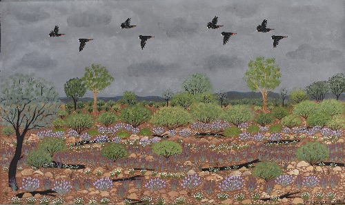 Mparntwe: Wildflowers - KBZG1057