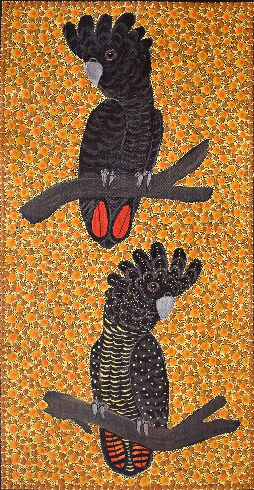 Red Tail Black Cockatoos - KBZG1111